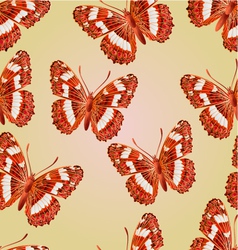 Seamless Texture Butterfly Limenitis Camilla