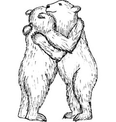 Bears Hugging