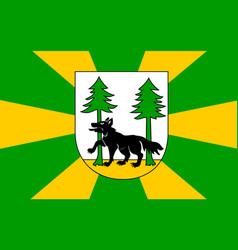 Flag Of Pisky District