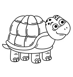 Hand Drawn Turtle Character