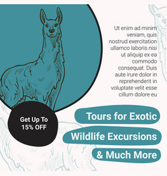 Tours For Exotic Wildlife Excursions And Mush More