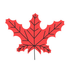 Red Canadian Maple Leaf With Veins Isolated