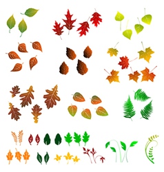 Leaf Collection Royalty Free Vector Image Vectorstock Leaf Collection Royalty Free Vector Image Vectorstock