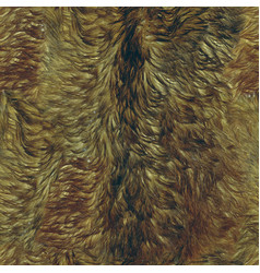 Real Goat Fur Texture