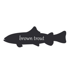 Brown Trout Or Salmo Trutta Fish Black Silhouette