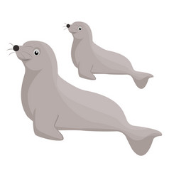 Seal Animal On A White Background