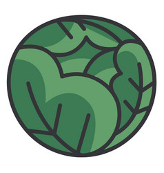 Cabbage Color Icon