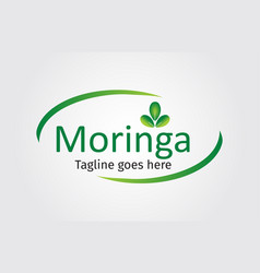 Moringa Oleifera Logo Design