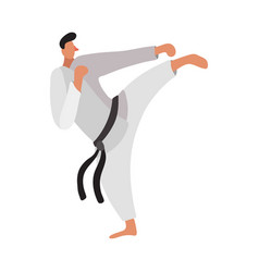 Taekwondo Fighter