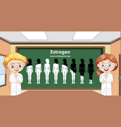 Estrogen Levels In Women By Age