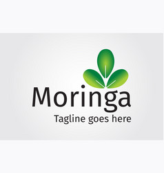 Moringa Oleifera Logo Design