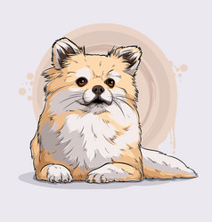 Hand Drawn Cute Dog Breed Pomeranian Lying Down