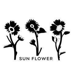 Sun Flower Isolated Silhouettes