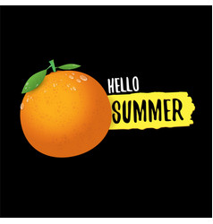 Hello Summer Poster And Flyer Design