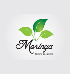 Moringa Oleifera Logo Design