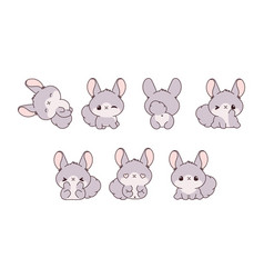 Collection Of Cartoon Baby Chinchilla Art