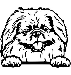 Pekingese - Funny Dog File Cut Stencil