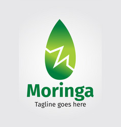 Moringa Oleifera Logo Design