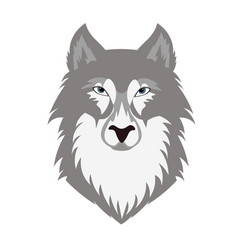 Gray Wolf