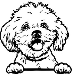 Maltese - Funny Dog File Cut Stencil