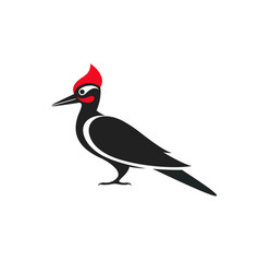 Woodpecker