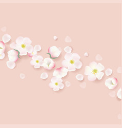 Apple Flowers Border With Pink Background