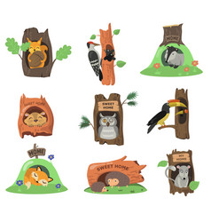 Forest Animals In Hollows Flat Set