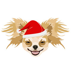 Chihuahua With Red Christmas Hat