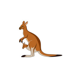 Image Of Kangaroo With Its Joey