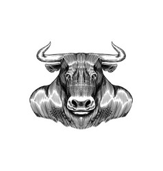 Buffalo Bull Fashionable Animal Hand Drawn