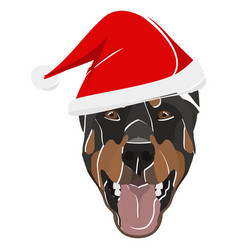 Doberman With Red Christmas Hat