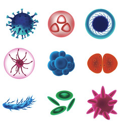 Realistic Detailed 3d Various Viruses Bacteria Set