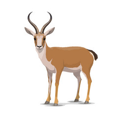 Cartoon Goitered Gazelle Animal