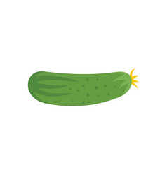 Gmo Cucumber Icon Flat Science Agriculture