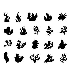 Underwater Sea Plants Silhouette Image Seaweeds