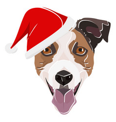 Jack Russell Terrier With Red Christmas Hat