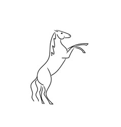 Horse Stands On Its Hind Legs