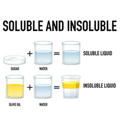 Soluble And Insoluble Science Experiment