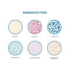 Good Bacterial Flora Lactobacilli Bifidobacteria