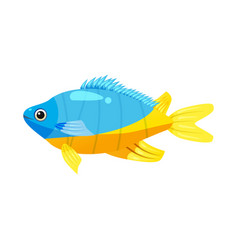 Tropical Exotic Emperor Angel Fish Bright