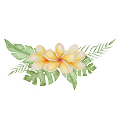 Plumeria Flower Bouquet Watercolor Clip Art Hand