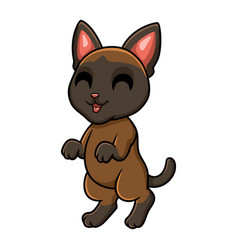 Cute Tonkinese Cat Cartoon Standing