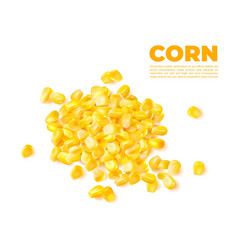 Realistic Sweet Boiled Corn Kernels Pile Stack