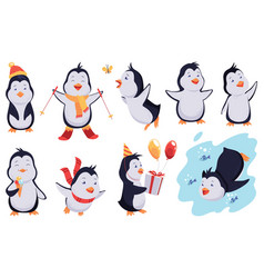 Cute Penguin Set Draw Character Design Of Funny