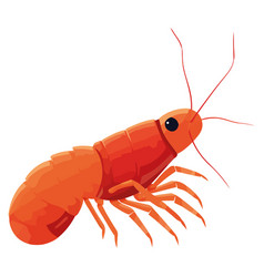 Underwater Shrimp Design