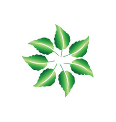 Circular Leaf Color Icon Design