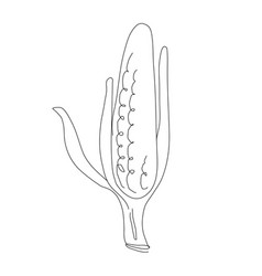 Corn Vegetable In Continuous Line Art Drawing