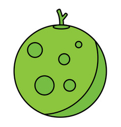 Melon Icon