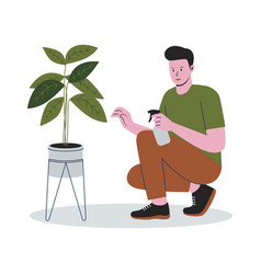 Man Gardeners Caring For Houseplants