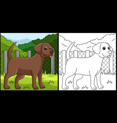 Chocolate Lab Dog Coloring Page